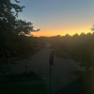 Meet your Posher, Amelia